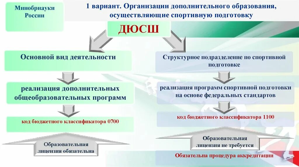 Организации дополнительного образования. Организации осуществляющие спортивную подготовку. Организации осуществляющие дополнительное образование. Варианты организации дополнительного образования. Какие организации осуществляют доп образования.