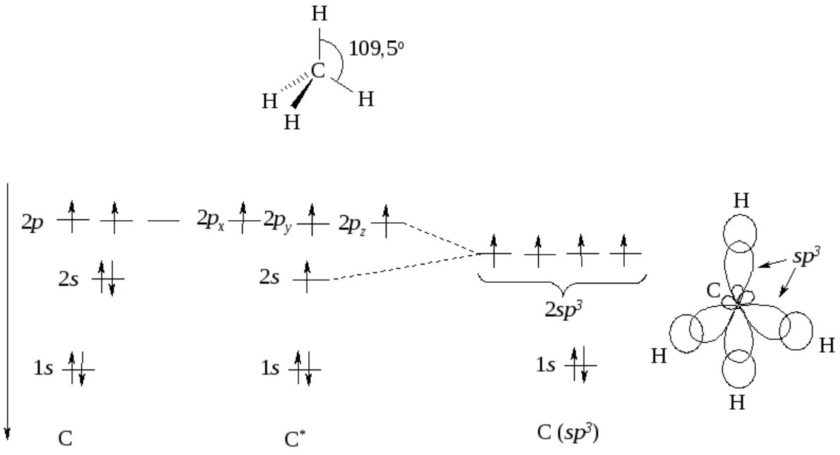 Фенол гибридизация атомов углерода. Sp3 гибридизация углерода. Энергетическая диаграмма молекулы углерода. Sp3 гибридизация атома углерода. Строение sp3.