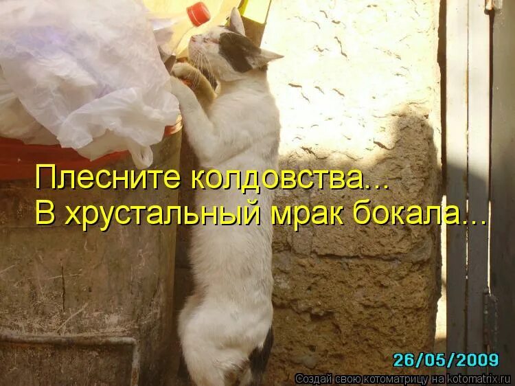 плесните колдовства в хрустальный. слова напрасные слова текст. лариса рубальская напрасные слова. стихи ларисы рубальской плесните колдовства. плесните волшебства в хрустальный.