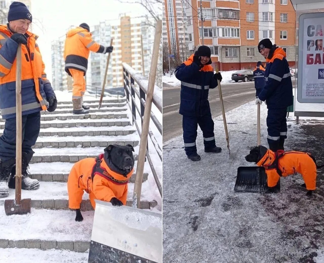 Собака дворник. Костюм Коммунальщик зимний. Коммунальщики смешно. Московский замечать