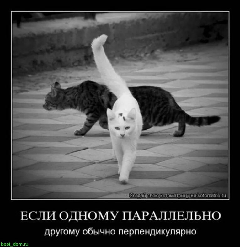Мне почти удалось ускользнуть