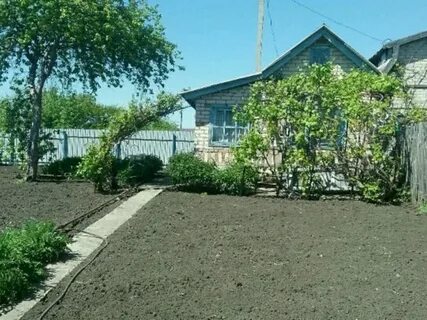 Дачи васильков