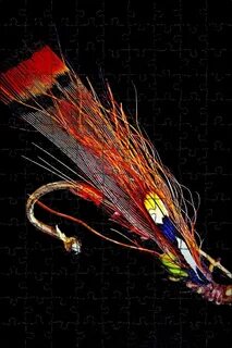 Best fly
