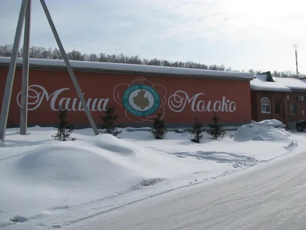 Майма завод. Майма молоко. майма молоко фото. майма молоко директор.