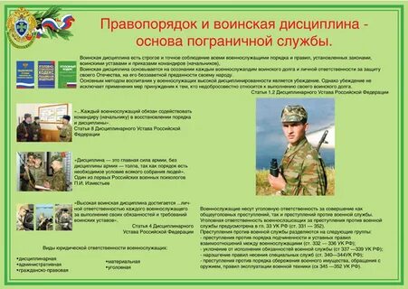 Пограничник требования