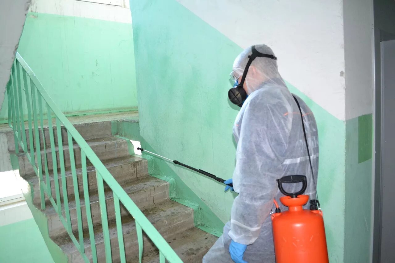 Дезинфекция. Дезинфекция помещений от коронавируса. Дезинсекция помещений. Дезактиваципомещений\. Дезинсектор холодный туман.