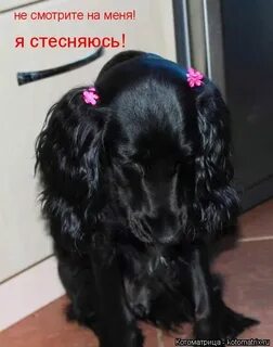 Я скрывал потенциал типа я стесняюсь