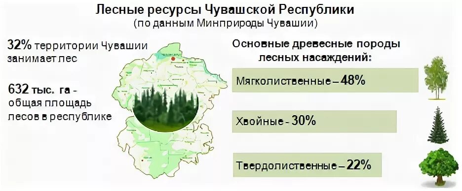 Чувашия в какой природной зоне. Лесные ресурсы Чувашии. Карта лесов Чувашии. Природные богатства Чувашской Республики. Лесные ресурсы Чувашии на карте.