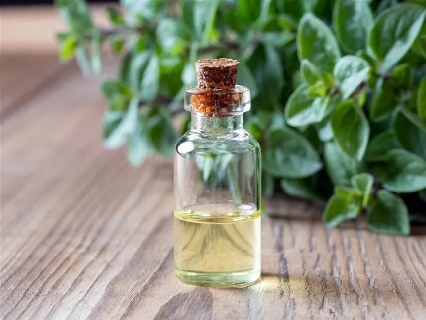 Несколько капель масла. Oregano Essential Oil. Масло орегано. Флакон для аромамасла. Масло из орегано.