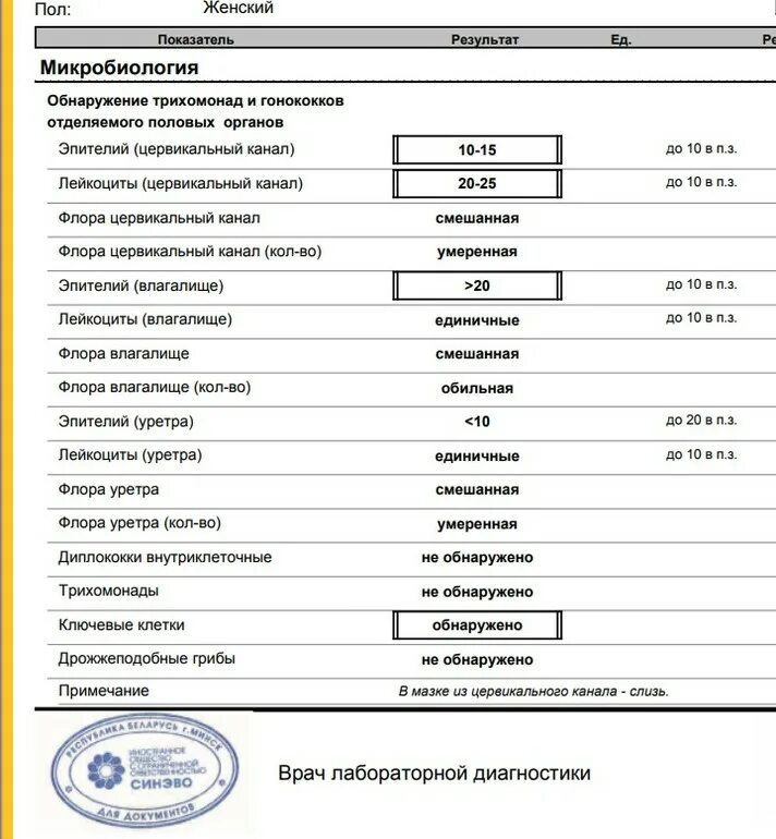 Размер цервикального канала. Получение цервикального мазка. Исходит из цервикального канала. Ширина цервикального канала в норме. Цервикальный канал размеры