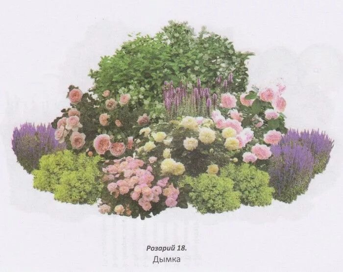 Comment bien associer l'hortensia YOU&ME ® 'Together' Jardin d'hortensia, Plans 