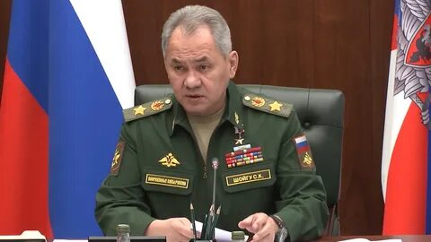 Шойгу медведеву