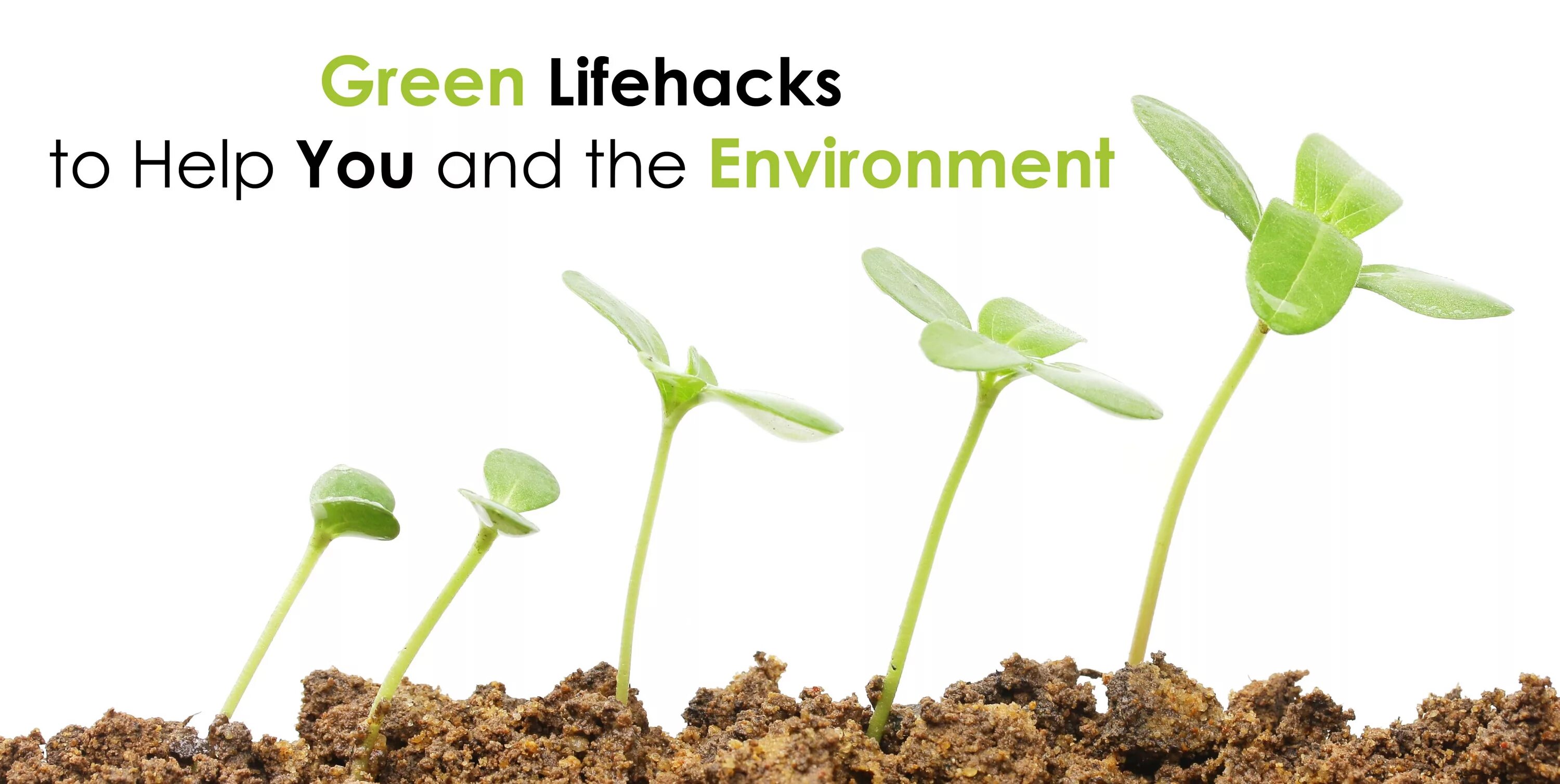 Green is life. Идея Eco-friendly. Eco friendly Water. Эко friendly Slider. Eco friendly Gifts ideas.