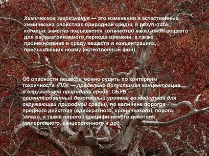 Заметно увеличивается