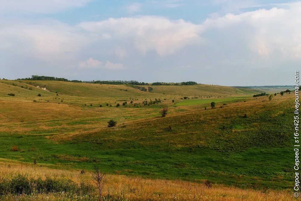 Хохольский район село. Воронеж Хохольский район природа. Хохольский район природа. Воронежской области заповедники Хохольский. Пруды в Хохольском районе Воронежской области.