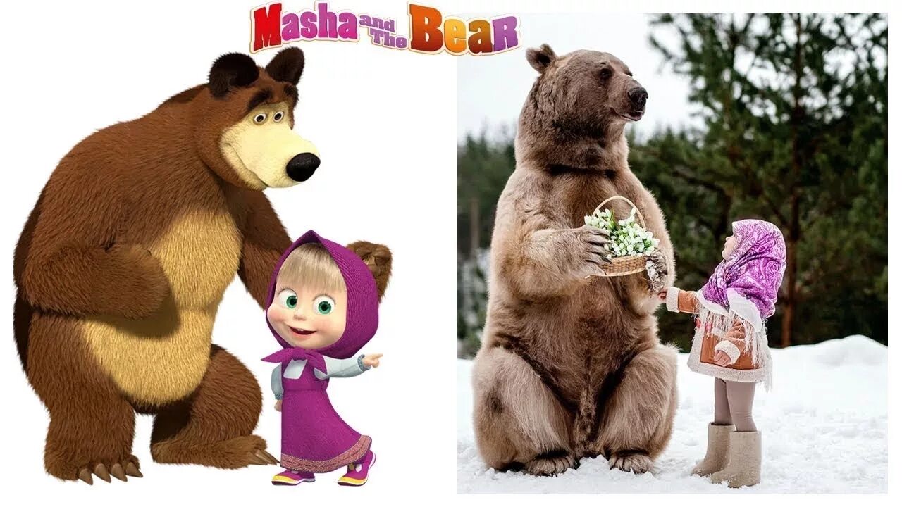 Почему маша и медведь вместе. Маша and the Bear. Маша и медведь в реальной жизни. Настоящая Маша и медведь. Маша и медведь в жизни.