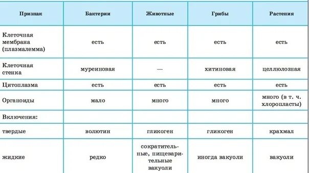 таблица отдел скелета строение функции. скелет нижних конечностей таблица. отделы тела особенности строения. отделы тела особенности строения. отделы тела особенности строения.