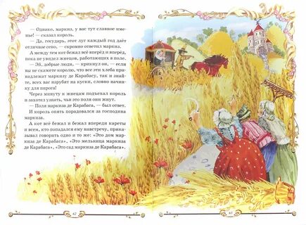 Чьи поля маркиза