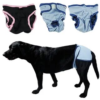 Pet shorts