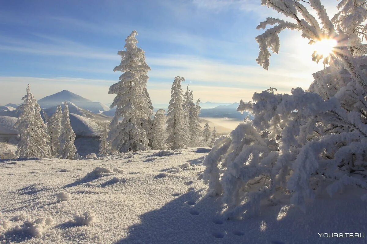 Летом а также зимой. Летом а также зимой. Времена года фото. Летом а также зимой. Летом а также зимой.