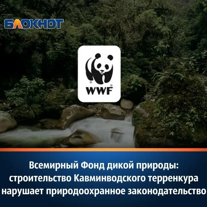 Wwf название организации и где ее штаб квартира логотип. Организация wwf. Всемирный фонд дикой природы структура организации. Всемирный фонд дикой. Панда символ всемирного фонда дикой природы.