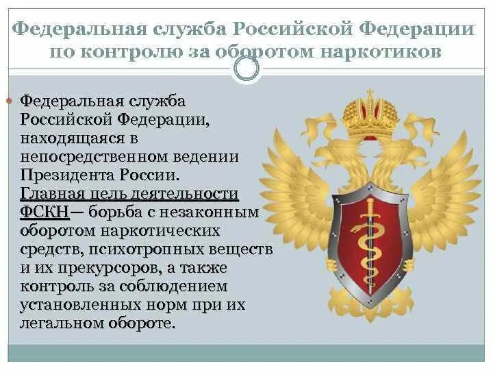 Федеральная служба по контролю за оборотом наркотиков. Федеральная служба РФ по контролю за оборотом. Федеральная служба по контролю за наркооборотом. ФСКН России. Деятельность федеральной службы рф по контролю