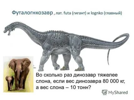 Во сколько раз слон тяжелее лошади