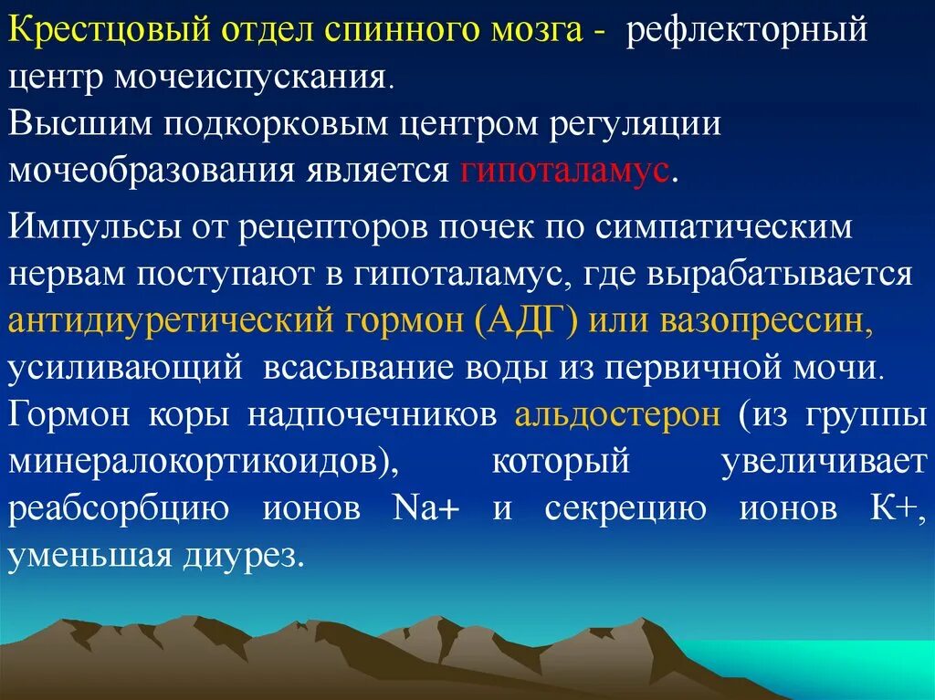 Прочитайте текст регуляция мочеобразования и мочеиспускания. Высший подкорковый центр мочеобразования. подкорковый центр мочеиспускания. крестцовый отдел спинного мозга рефлексы. центры регуляции мочеиспускания.