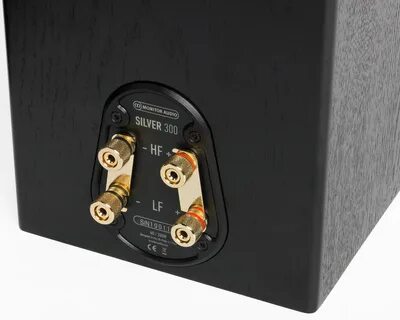 Silvers audio отзывы
