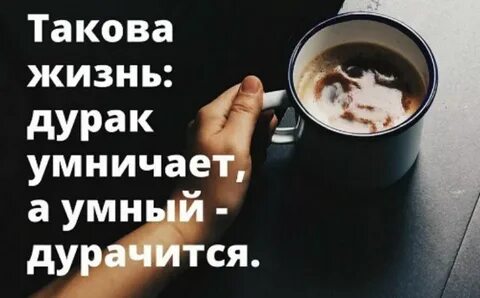 Умный промолчит а глупый поговорка