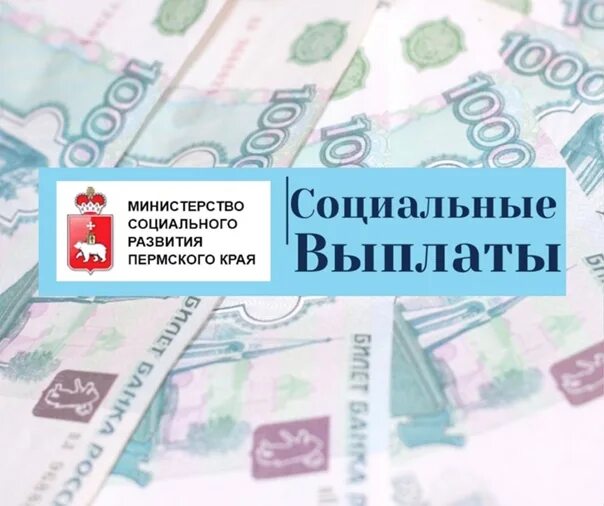Ежемесячная денежная выплата ветеранам труда. Реестр центр социальных выплат. Социально незащищенные категории граждан это. Социальные выплаты пермь. Ежемесячная денежная компенсация многодетным семьям.