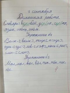 Как научиться писать диктанты без ошибок