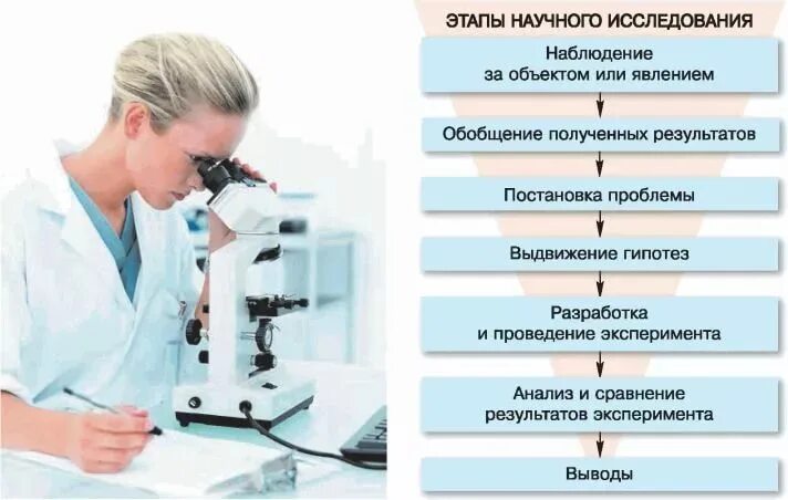 Этапы научного анализа. 5 Этапов научного исследования. Этапы научного исследования в биологии 9 класс. Этапы научного исследования таблица. Этапы научного исследования в биологии 10 класс.