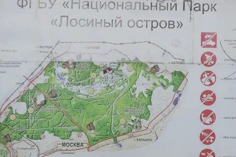 Как добраться до лосиного парка