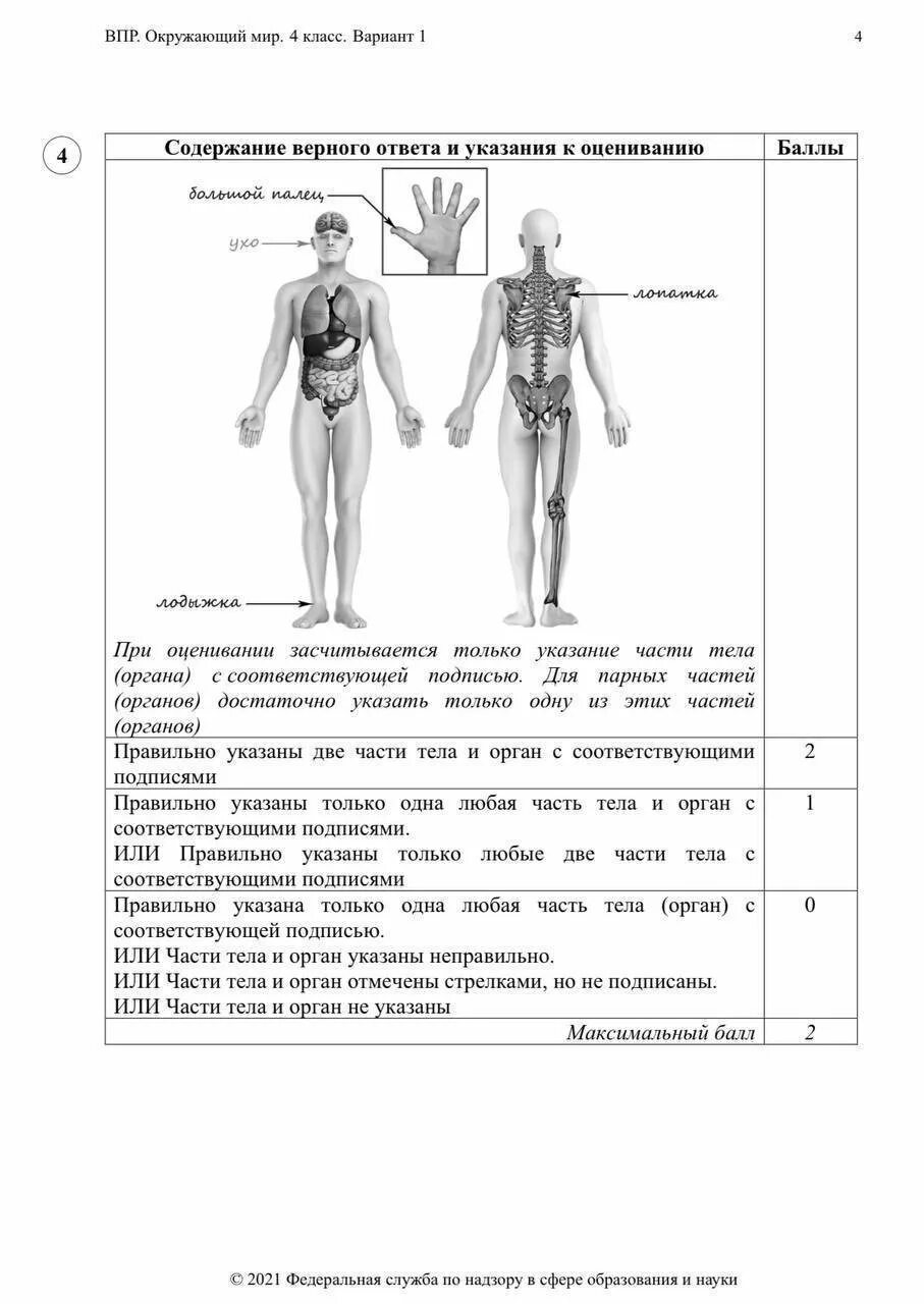 5 вариант окружающий мир. Впр по окружающему миру 4 класс. впр окружающий мир 1 вариант. впр окружающий мир 4 класс вариант 1. впр по окружающему миру 1 вариант.