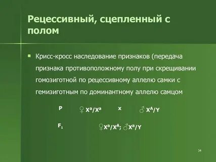 Крисс кросс наследование