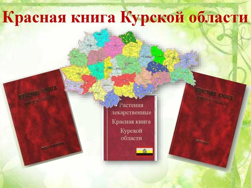 Красная книга Курской области книга. Красная книга Курской области обложка книги. Красная книга курсок йоалсти. Растения красной книги Курской области.