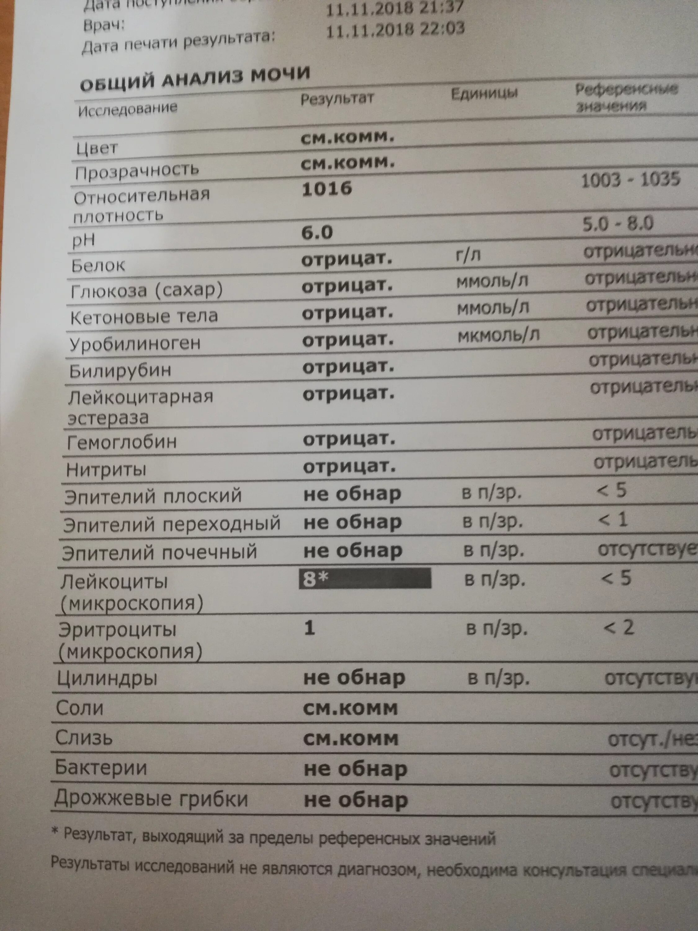 Анализ плюс сайт