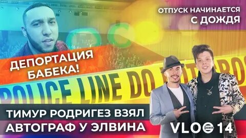 Элвин греи бабек мамедрзаев