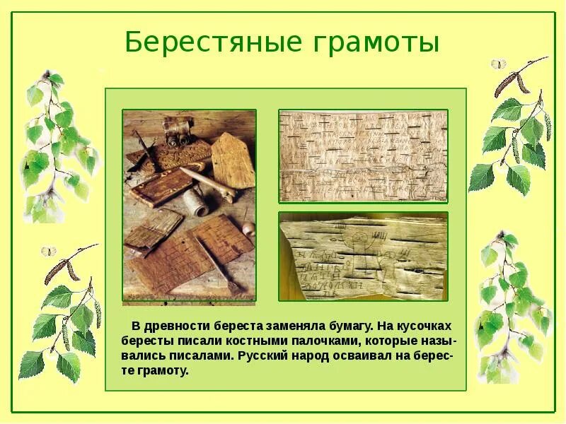 Береста вместо бумаги. Береза в быту. Применение березы в быту. Береза символ России, береста, сок. Как береза используется людьми