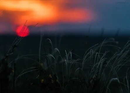 Затихли ветерки