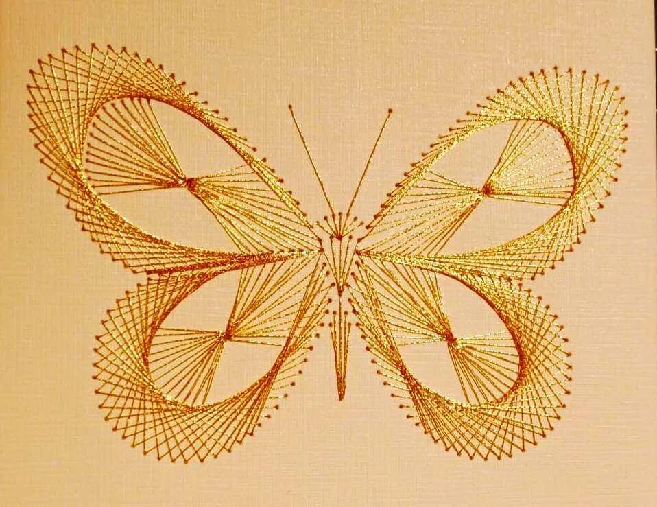Кирстен миллер изонить. Ниткография бабочка. Нитяная графика. Ниткография звезда. Ниткография филин.