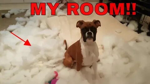 Destroying room