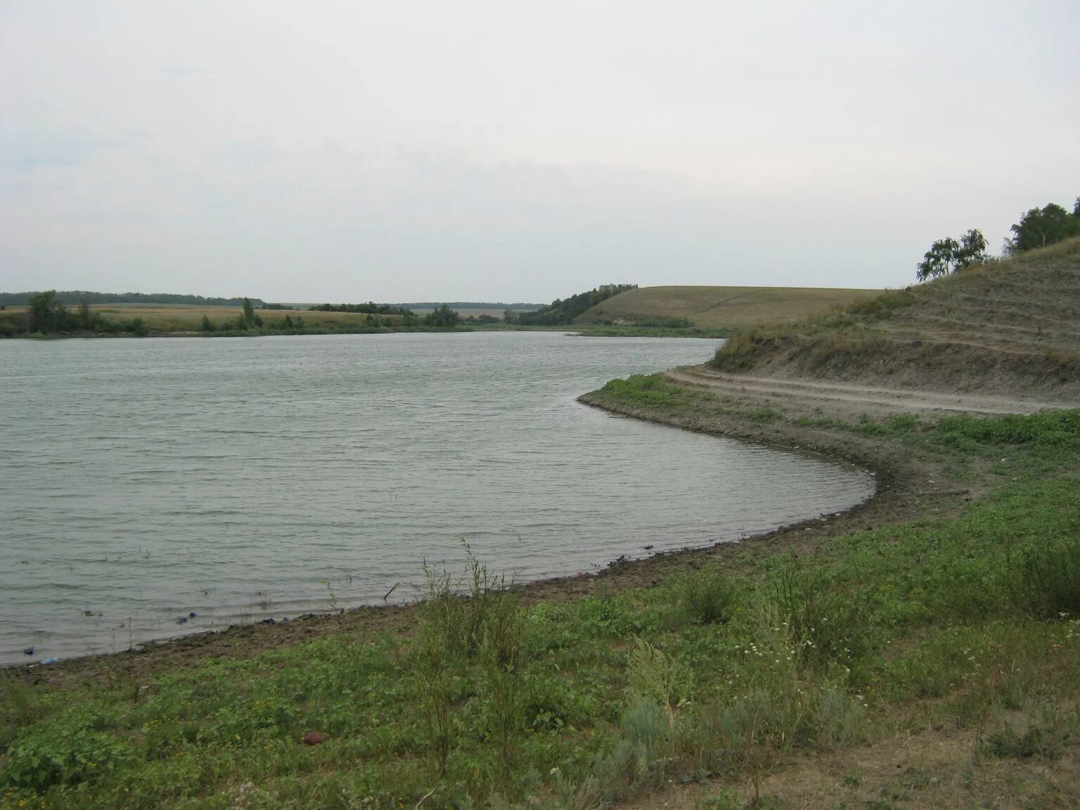 Новости сергиевского водохранилища. Пруд Сергиевский Саратовской области. Пруды Петровского района Саратовской области. Екатериновское водохранилище Саратовская область. Озерки пруд Саратовская область Петровский район.