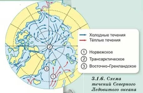 Схема течений Северного Ледовитого океана. Течения Северного Ледовитого океана на карте. Течения Северного Ледовитого океана теплые и холодные на карте. Течения Северного Ледовитого океана теплые и холодные. Теплое течение ледовитого океана