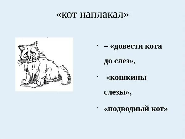 Объясните фразеологизм кот наплакал. Кот наплакал фразеологизм. Кот наплакал значение фразеологизма. Как кот наплакал. Кот наплакал значение.