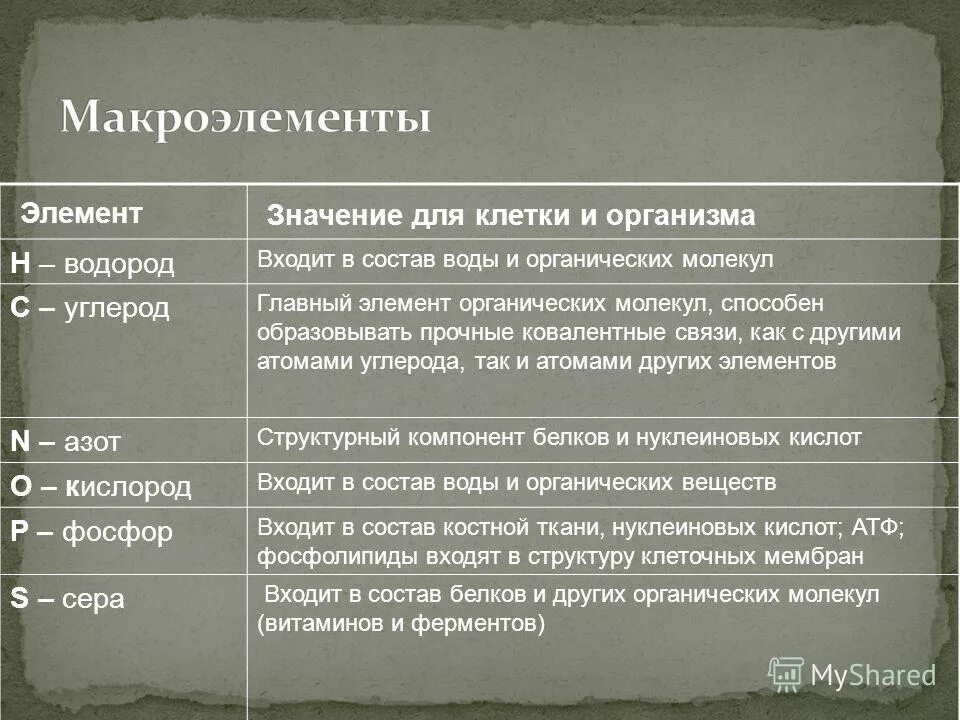 Биологическое значение водорода. Водород в клетке. Значение водорода. Биологическое значение водорода. Значение воды.