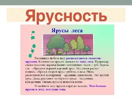 Совместная жизнь организмов в сообществе