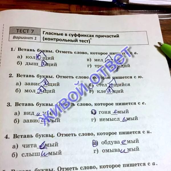 Тест причастие вариант 2. Тест 7 вариант 1 гласные в суффиксах причастий контрольный тест. тест 7 вариант 1 гласные в суффиксах причастий контрольный тест ответы. тест 7 вариант 2 гласные в суффиксах причастий контрольный тест ответы. тест 7 гласные в суффиксах причастий контрольный тест ответы.