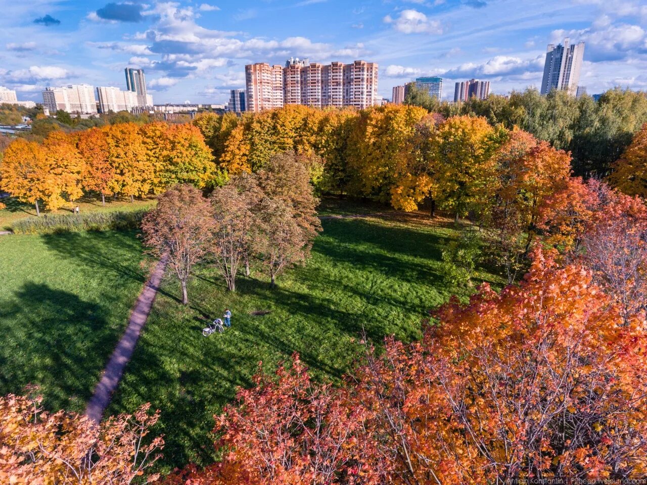 Октябрь. Парк 50-летия октября Москва осень. Парк 50-летия октября МГУ. Октябрь Москва парк. Осень Москва Братиславский парк.